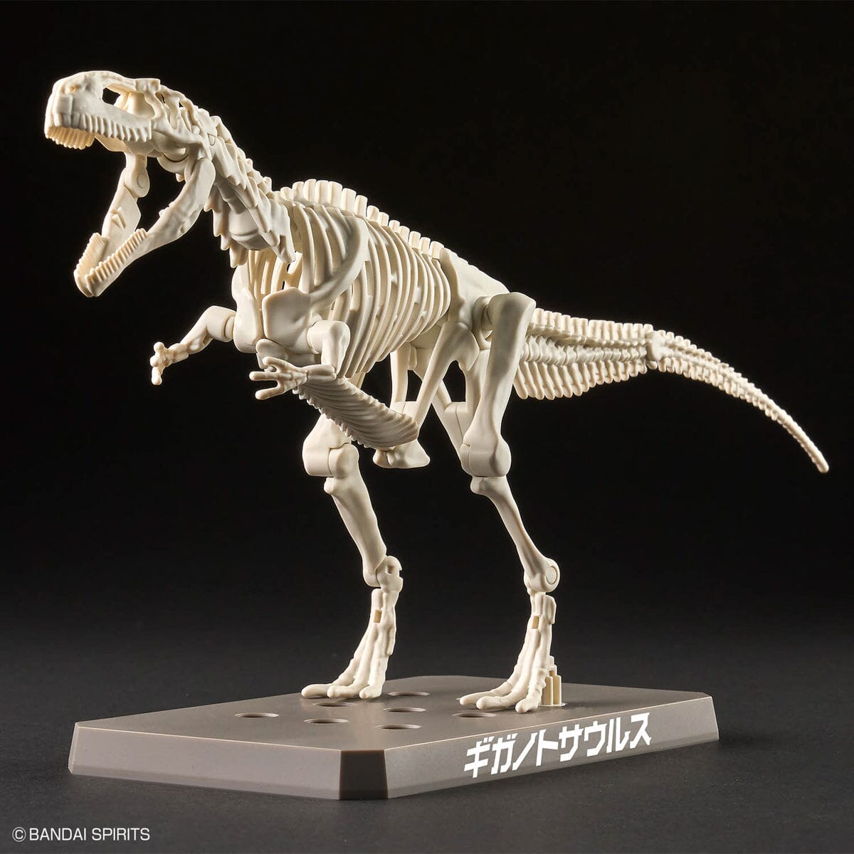 Plannosaurus Giganotosaurus Model Kit