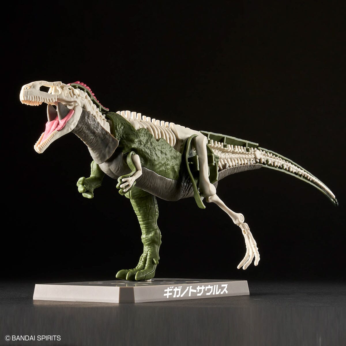 Plannosaurus Giganotosaurus Model Kit