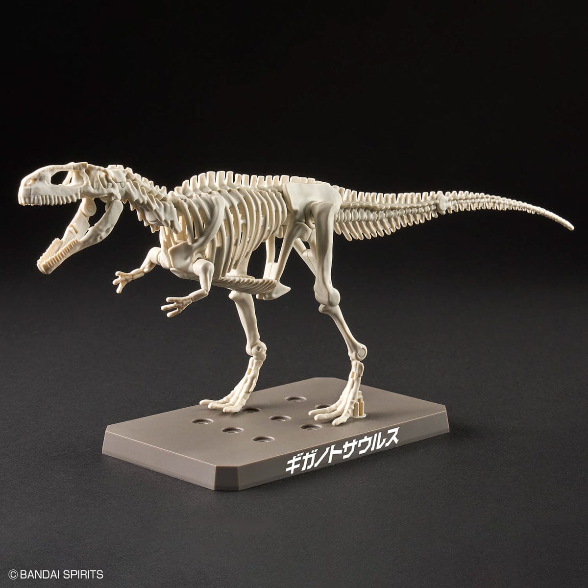 Plannosaurus Giganotosaurus Model Kit