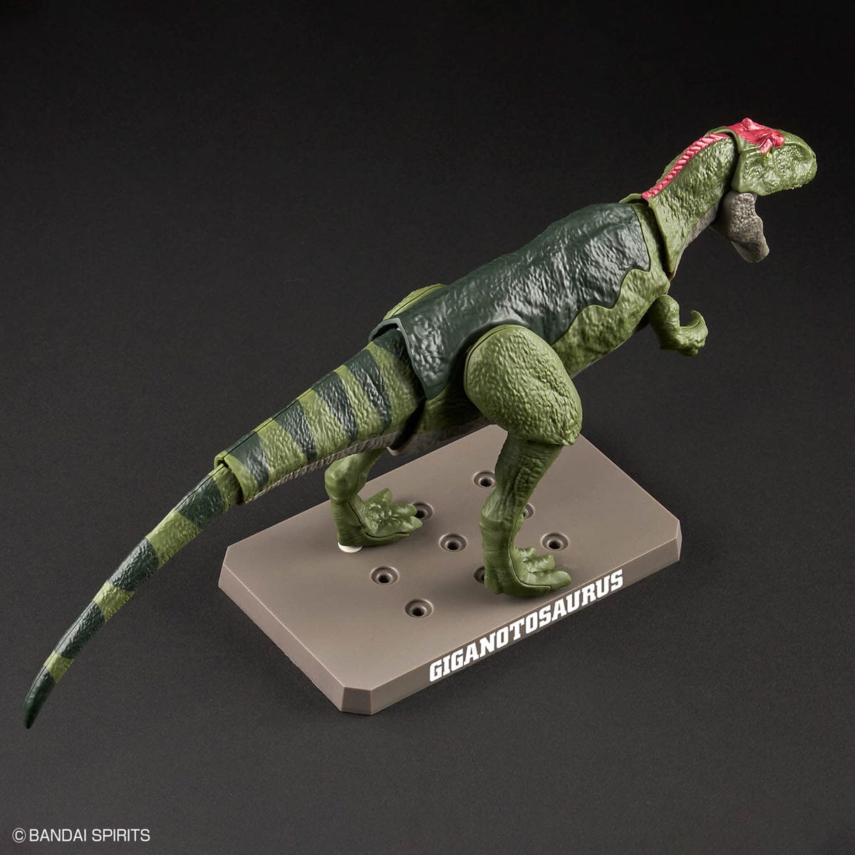 Plannosaurus Giganotosaurus Model Kit